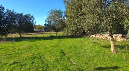 Terreno de 14.172 m² en Santa Margalida (07450)