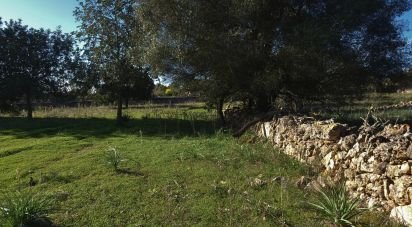 Terreno de 14.172 m² en Santa Margalida (07450)