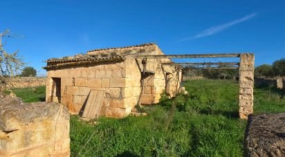 Land of 14,125 m² in Santa Margalida (07450)