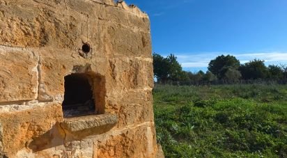 Land of 14,125 m² in Santa Margalida (07450)