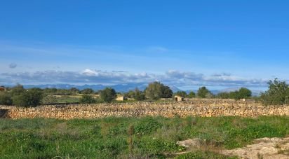 Land of 14,125 m² in Santa Margalida (07450)