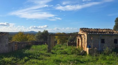 Land of 14,125 m² in Santa Margalida (07450)