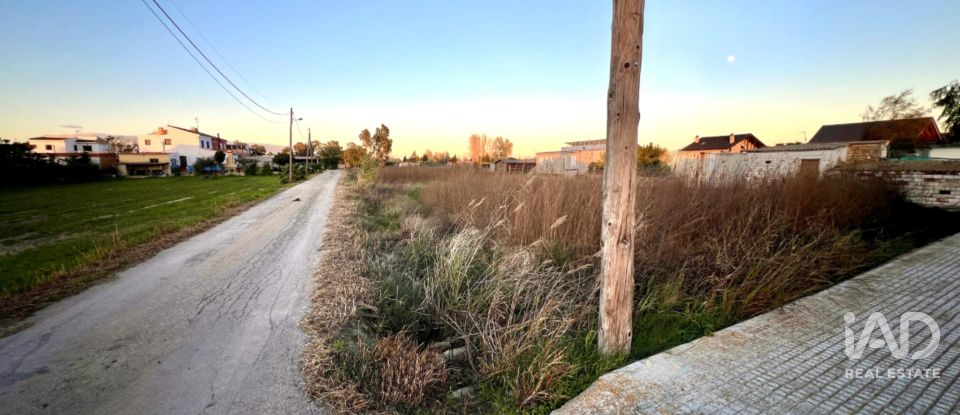 Terreno de 1.395 m² en Sant Jaume d'Enveja (43877)