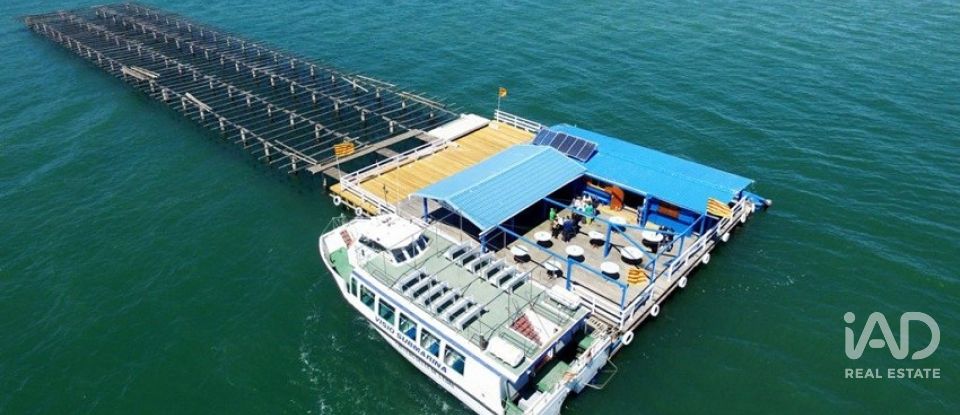 Terreno de 1.395 m² en Sant Jaume d'Enveja (43877)