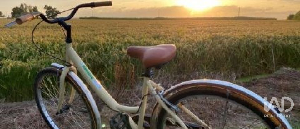 Terreno de 1.395 m² en Sant Jaume d'Enveja (43877)