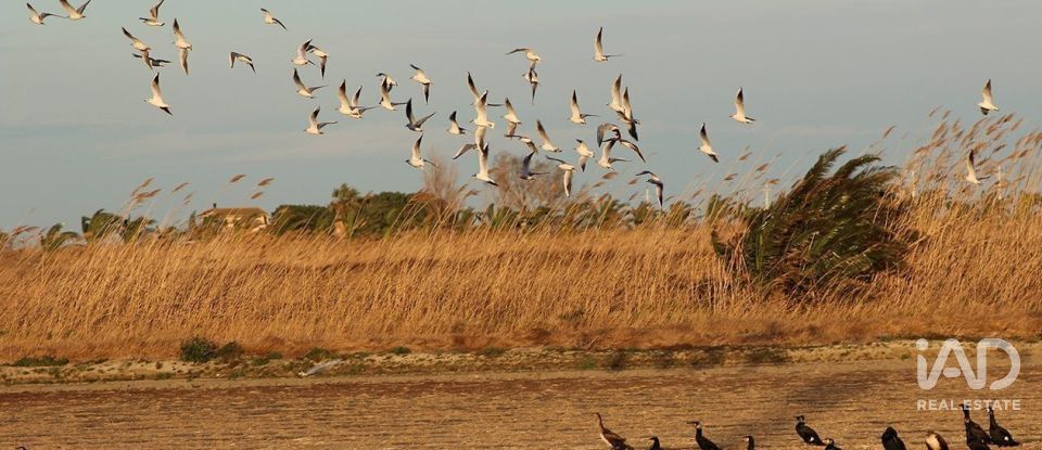 Terreno de 1.395 m² en Sant Jaume d'Enveja (43877)