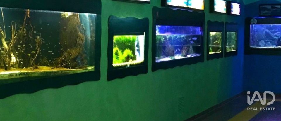 Terreno de 1.395 m² en Sant Jaume d'Enveja (43877)