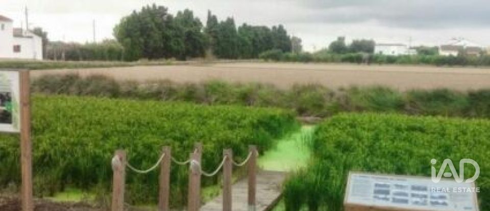 Terreno de 1.395 m² en Sant Jaume d'Enveja (43877)