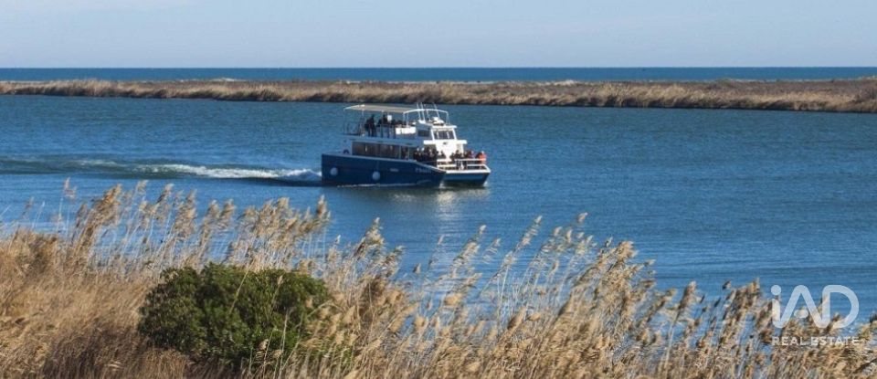 Terreno de 1.395 m² en Sant Jaume d'Enveja (43877)