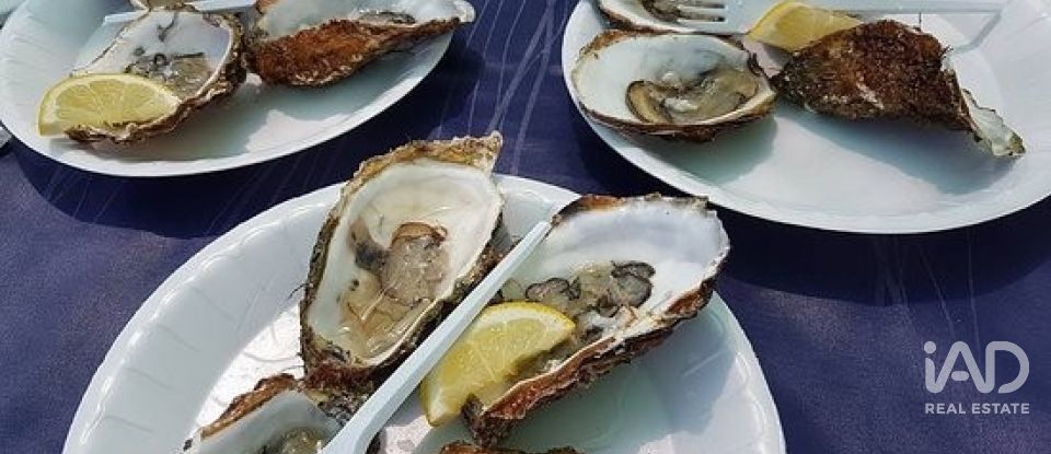 Terreno de 1.395 m² en Sant Jaume d'Enveja (43877)