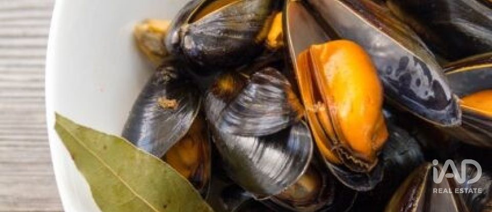 Terreno de 1.395 m² en Sant Jaume d'Enveja (43877)