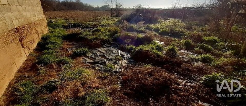 Maison de village 2 chambres de 214 m² à Santa María de la Isla (24795)