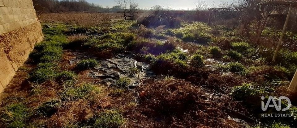 Maison de village 2 chambres de 214 m² à Santa María de la Isla (24795)