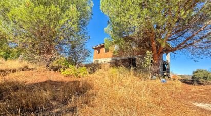 Building plot of 11,300 m² in Puente Nuevo (05278)