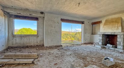 Building plot of 11,300 m² in Puente Nuevo (05278)