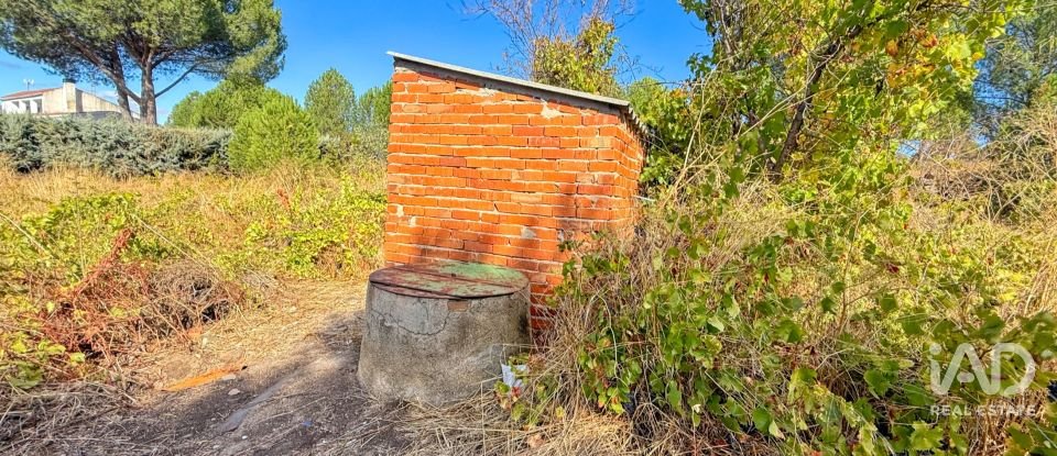 Building plot of 11,300 m² in Puente Nuevo (05278)