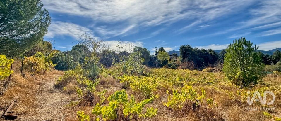 Building plot of 11,300 m² in Puente Nuevo (05278)