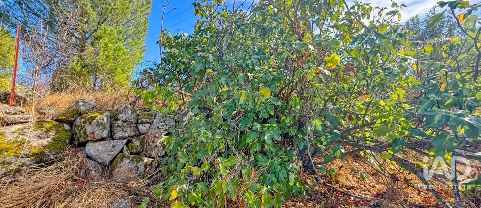 Building plot of 11,300 m² in Puente Nuevo (05278)