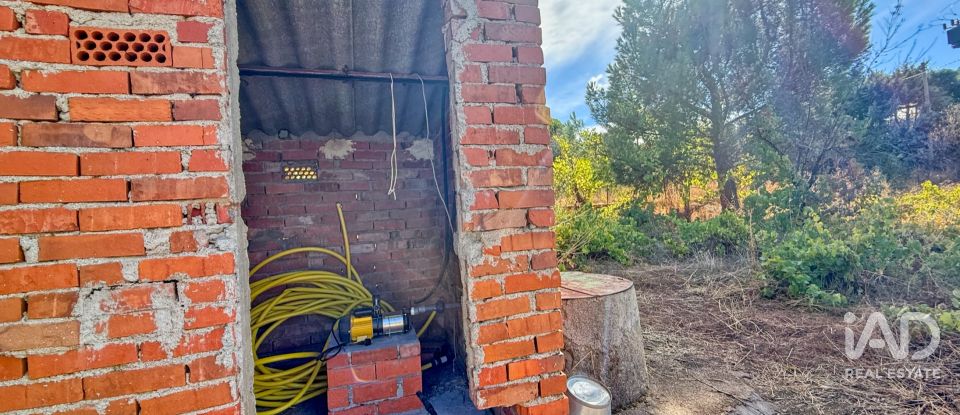 Building plot of 11,300 m² in Puente Nuevo (05278)