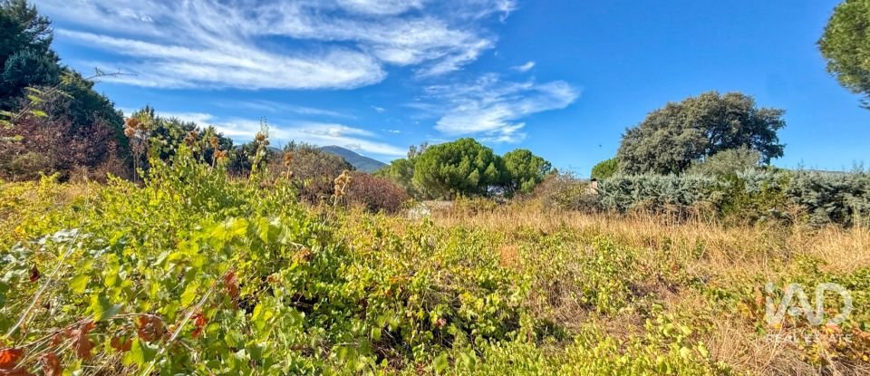 Building plot of 11,300 m² in Puente Nuevo (05278)