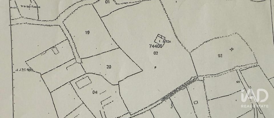 Building plot of 11,300 m² in Puente Nuevo (05278)