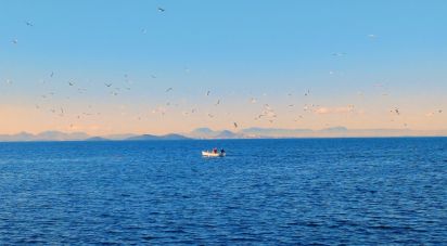 Appartement 2 chambres de 91 m² à La Manga del Mar Menor (30380)