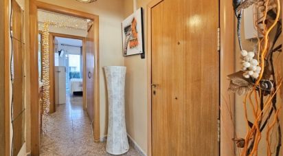 Apartment 2 bedrooms of 52 m² in La Pineda (43481)