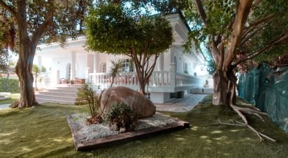 Cottage 4 bedrooms of 393 m² in Torrevieja (03184)