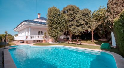 Cottage 4 bedrooms of 393 m² in Torrevieja (03184)