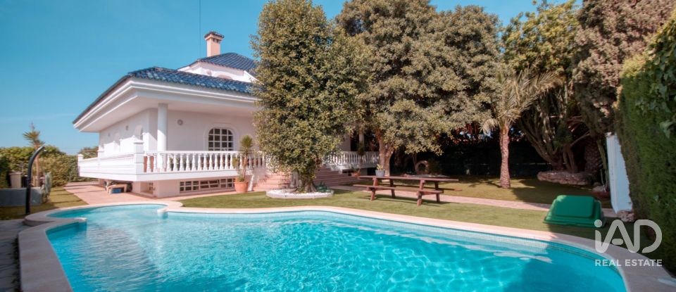 Châlet 4 chambres de 393 m² à Torrevieja (03184)