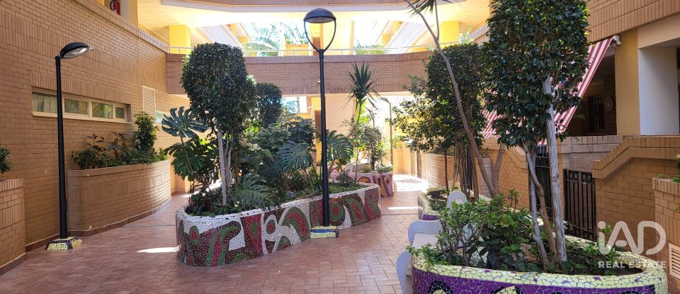 Apartment 2 bedrooms of 74 m² in Oropesa/Oropesa del Mar (12594)