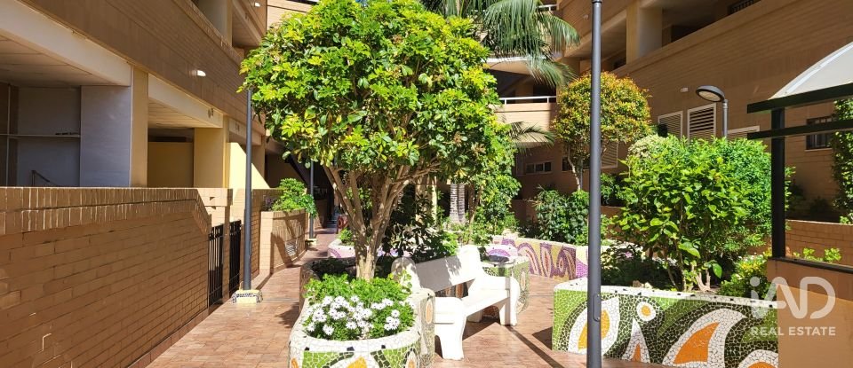 Apartment 2 bedrooms of 74 m² in Oropesa/Oropesa del Mar (12594)