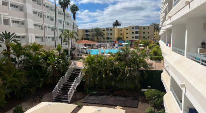 Pis 1 habitació de 64 m² a Cañon del Aguila (35100)