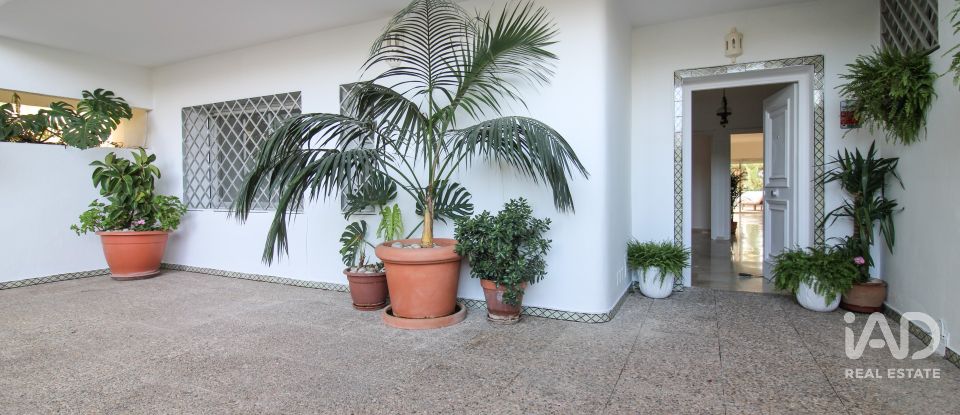 Apartment 4 bedrooms of 247 m² in Guadalmina (29670)