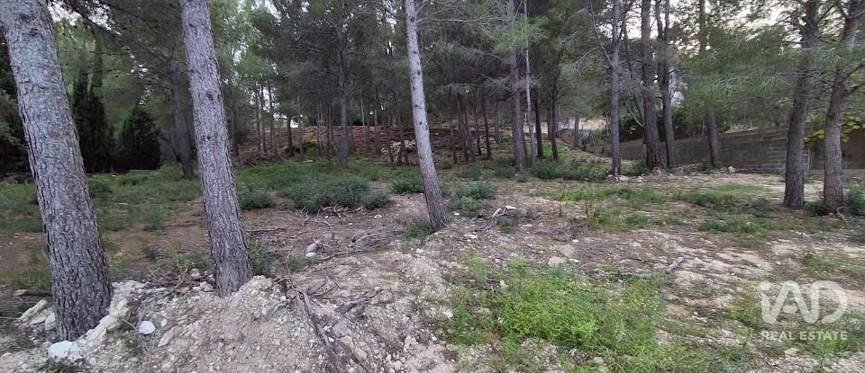 Terreny urbà de 980 m² a Masboquera (43891)