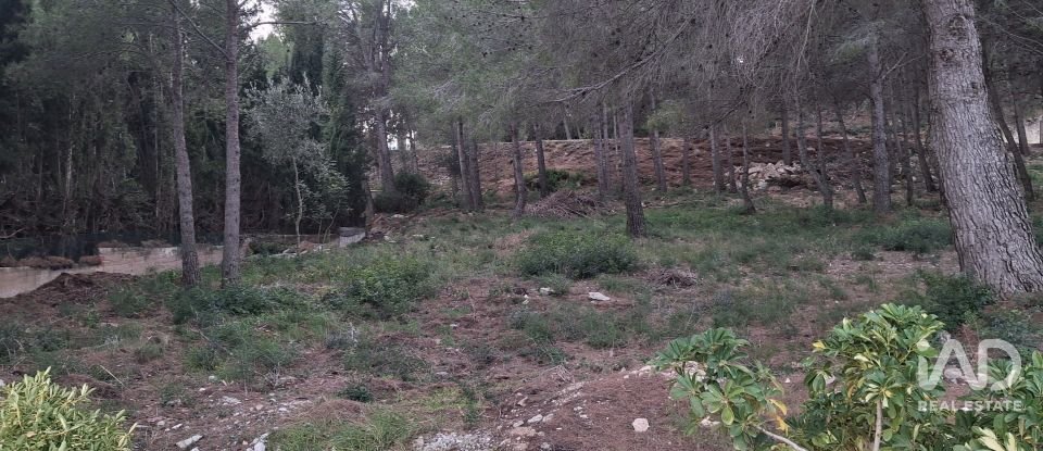 Terreny urbà de 980 m² a Masboquera (43891)