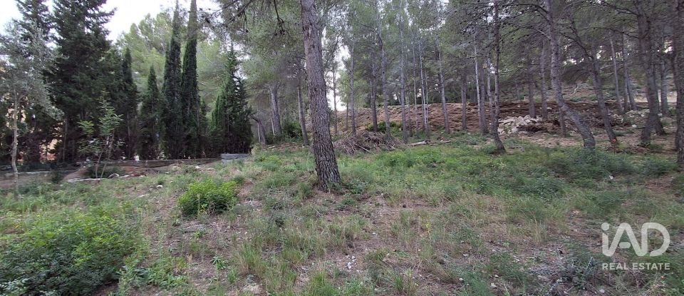 Terreny urbà de 980 m² a Masboquera (43891)