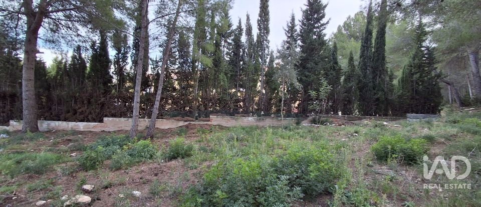 Terreny urbà de 980 m² a Masboquera (43891)