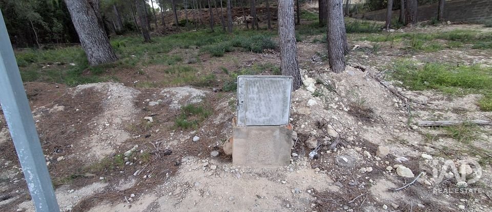 Terreny urbà de 980 m² a Masboquera (43891)