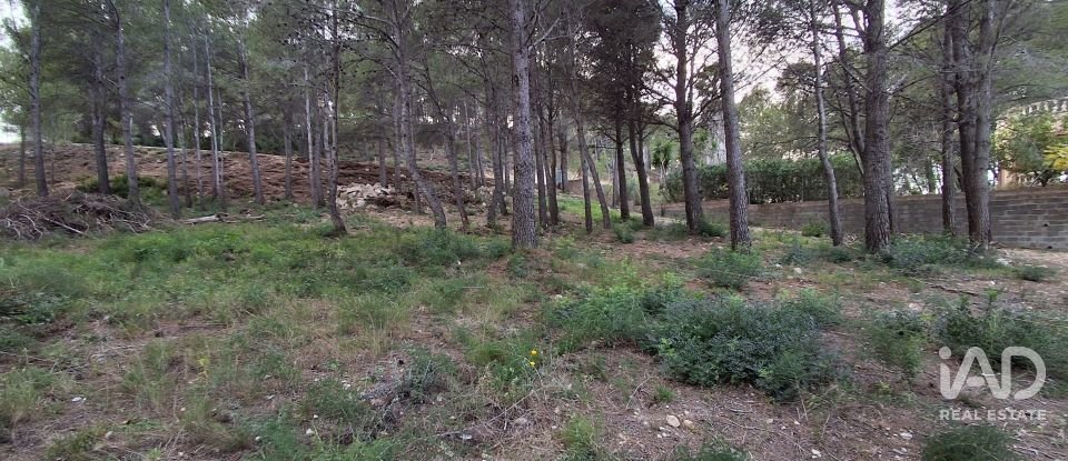 Terreny urbà de 980 m² a Masboquera (43891)