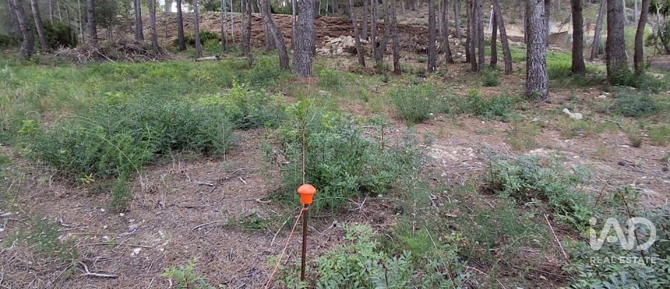 Terreny urbà de 980 m² a Masboquera (43891)