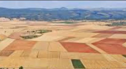 Farm land of 665,000 m² in Tejado (42128)