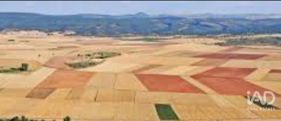 Terreny agrícola de 665.000 m² a Tejado (42128)