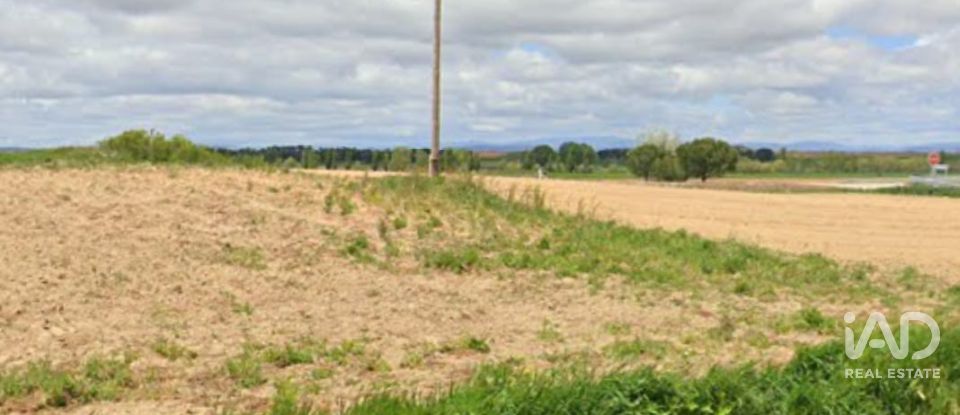 Terreny agrícola de 665.000 m² a Tejado (42128)