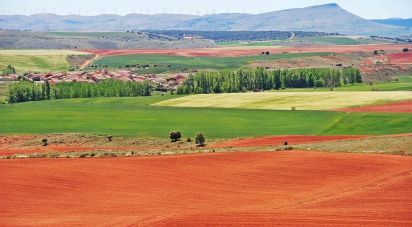 Farm land of 665,000 m² in Tejado (42128)