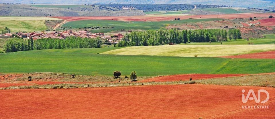 Terreny agrícola de 665.000 m² a Tejado (42128)