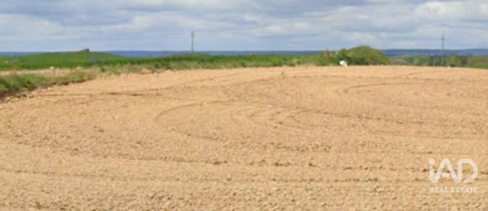 Terreny agrícola de 665.000 m² a Tejado (42128)