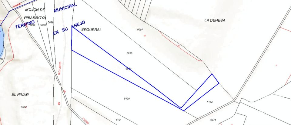 Terreny agrícola de 665.000 m² a Tejado (42128)