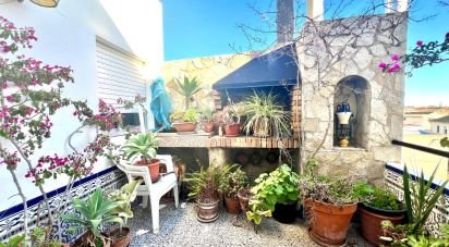 Penthouse 5 chambres de 229 m² à Deltebre (43580)