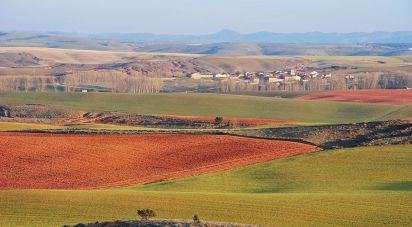 Farm land of 665,000 m² in Tejado (42128)